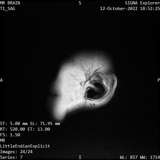 Series 007 image 24