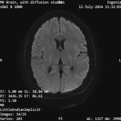 Series 203 image 14