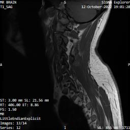 Series 012 image 13